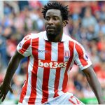 FILERS from the Stoke v Spurs matchWilfried Bony